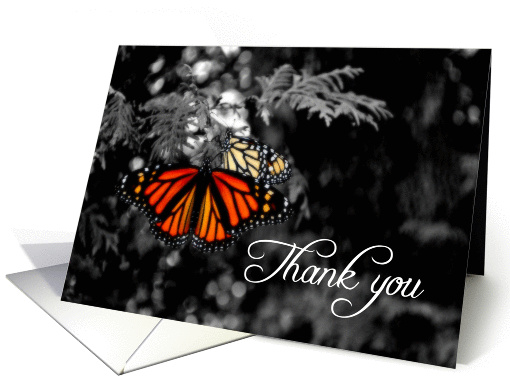 Thank you for your donation in memory of Monarch Butterfly card