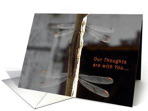 Dragonflies for Father in Sympathy card (514156)