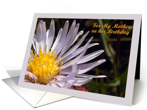 For My Mother Birthday Flower card (521548)