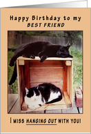 Best Friend Happy Birthday Cats on Crate card