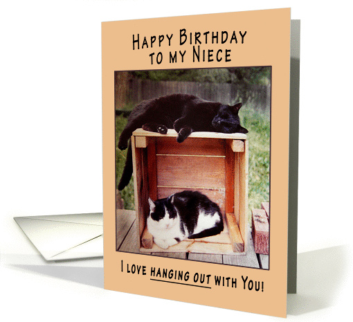 Niece Happy Birthday Cats on Crate card (834569)