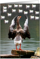 Canadian Goose Conducting An Orchestra card