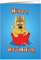 German shepherd - gift box card