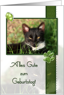 Cat Happy Birthday Alles Gute zum Geburtstag German card