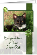 Cat Congratulations On Your New Cat card