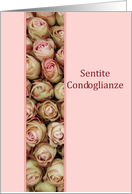 Italian Sympathy Pink Roses card