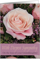 Sympathy Loss of Granddaughter - Pink Rose card