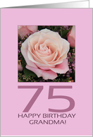 75th Happy Birthday Card for Grandma - Big pink rose card