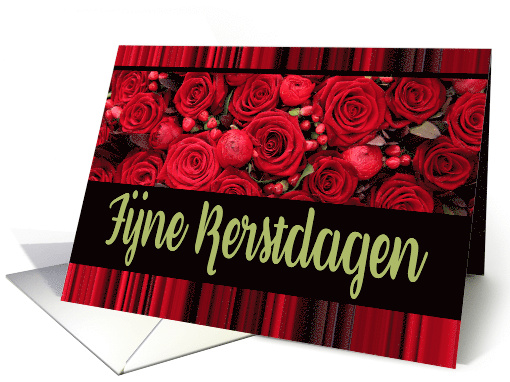Dutch Christmas Fijne Kerstdagen Red Roses and Winter Berries card