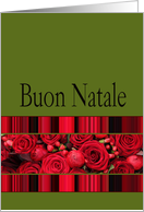 Buon Natale, Italian Christmas Red Roses and Winter Berries card