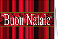 Buon Natale, Italian Christmas Card roses & winter berries card