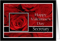 Secretary - Valentine’s Day Roses red, black and white card