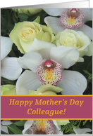 Colleague, Happy Mother’s Day Card - White Orchid card
