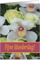 Dutch Fijne Moederdag! Happy Mother’s Day Card - White Orchid card