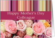 Colleague - Happy Mother’s Day pastel roses & stripes card