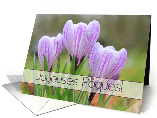 French Joyeuses Pques Happy Easter Purple Crocuses card (1251476)