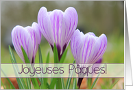 French Joyeuses Pques Happy Easter Purple Crocuses card