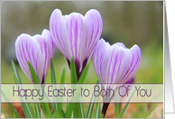 To both of you - Happy Easter Purple crocuses card