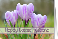 Husband - Happy Easter Purple crocuses card