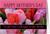 Best Colleague in the world Mixed pink tulips Mother’s Day card