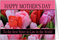 Best Sister in Law in the world Mixed pink tulips Mother’s Day card