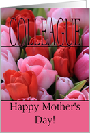 Colleague Mixed pink tulips Happy Mother’s Day card
