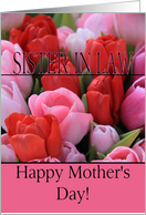 Sister in Law Mixed pink tulips Happy Mother’s Day card