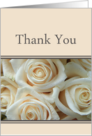 Thank You for Sympathy - Pale Pink roses card