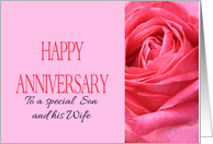 Anniversary to Son and Wife Pink Rose Close Up card