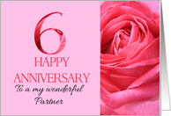 6th Anniversary to Partner Pink Rose Close Up card