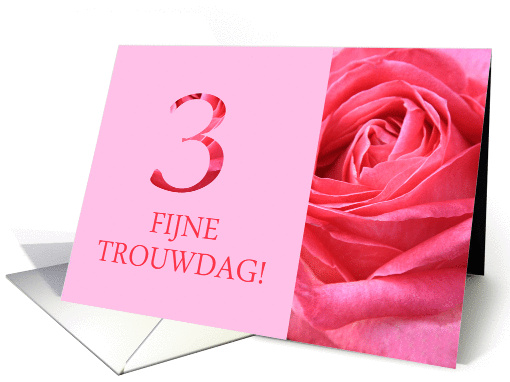 3rd Anniversary Dutch Fijne Trouwdag - Pink rose close up card