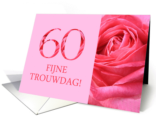 60th Anniversary Dutch Fijne Trouwdag - Pink rose close up card