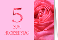 5th Anniversary German Zum Hochzeitstag - Pink rose close up card