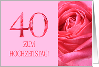40th Anniversary German Zum Hochzeitstag - Pink rose close up card