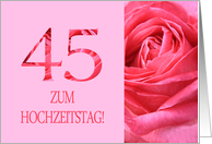 45th Anniversary German Zum Hochzeitstag - Pink rose close up card