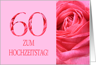 60th Anniversary German Zum Hochzeitstag - Pink rose close up card