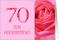 70th Anniversary German Zum Hochzeitstag - Pink rose close up card