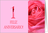 1st Anniversary Spanish Feliz Aniversario Pink Rose Close Up card