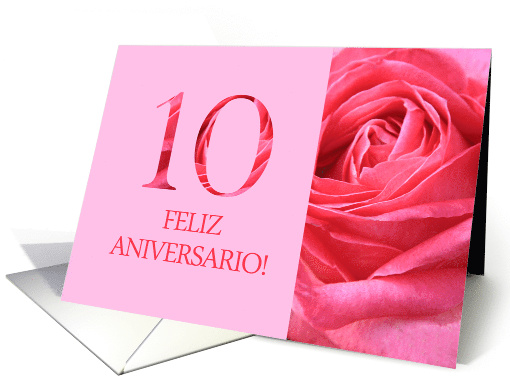 10th Anniversary Spanish Feliz Aniversario Pink Rose Close Up card