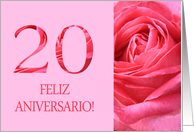 20th Anniversary Spanish Feliz Aniversario Pink Rose Close Up card
