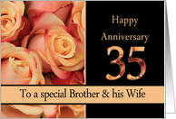 35th Anniversary, Brother & Wife multicolored pink roses card