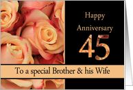 45th Anniversary, Brother & Wife multicolored pink roses card