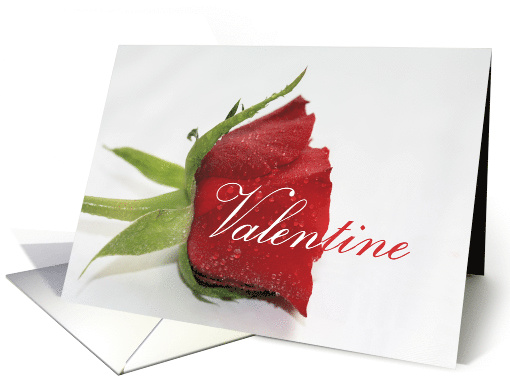 Classic Valentine's Rose card (548595)