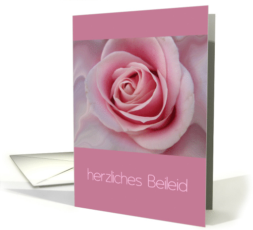 German Sympathy Big Pink Rose card (549994)