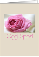 Oggi Sposi Italian Wedding Invitation Pink Rose card