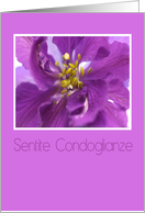 purple larkspur italian sympathy card