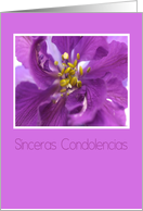 purple larkspur spanish sympathy card