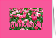Dutch Thank You Pink Tulips card