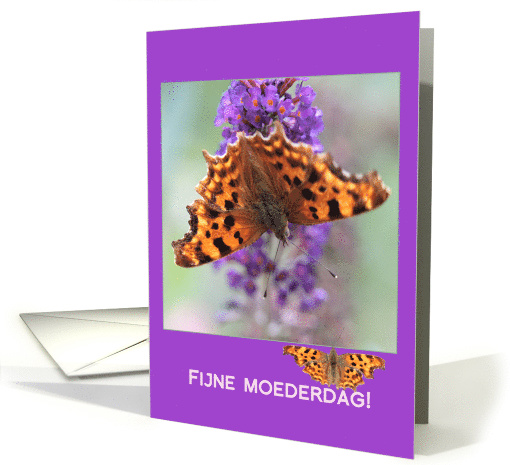 Dutch Mother's Day Orange Comma Butterfly card (598794)