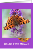 French Mother’s Day Comma Butterfly card